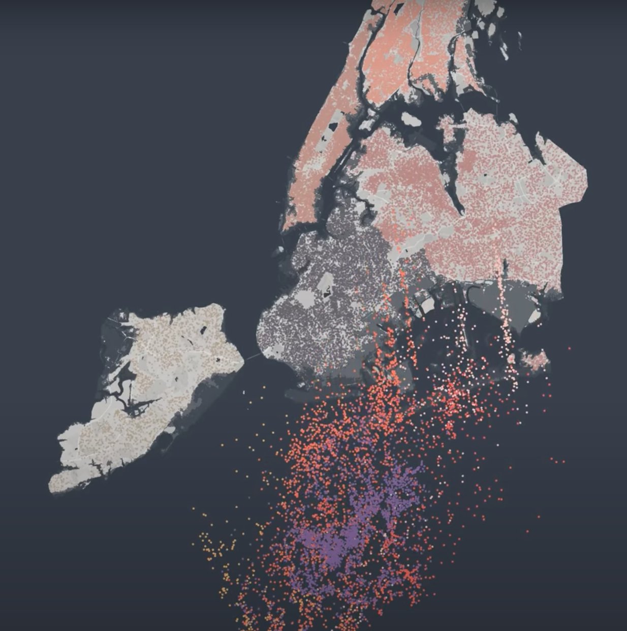 Frame from the Future Coral animation