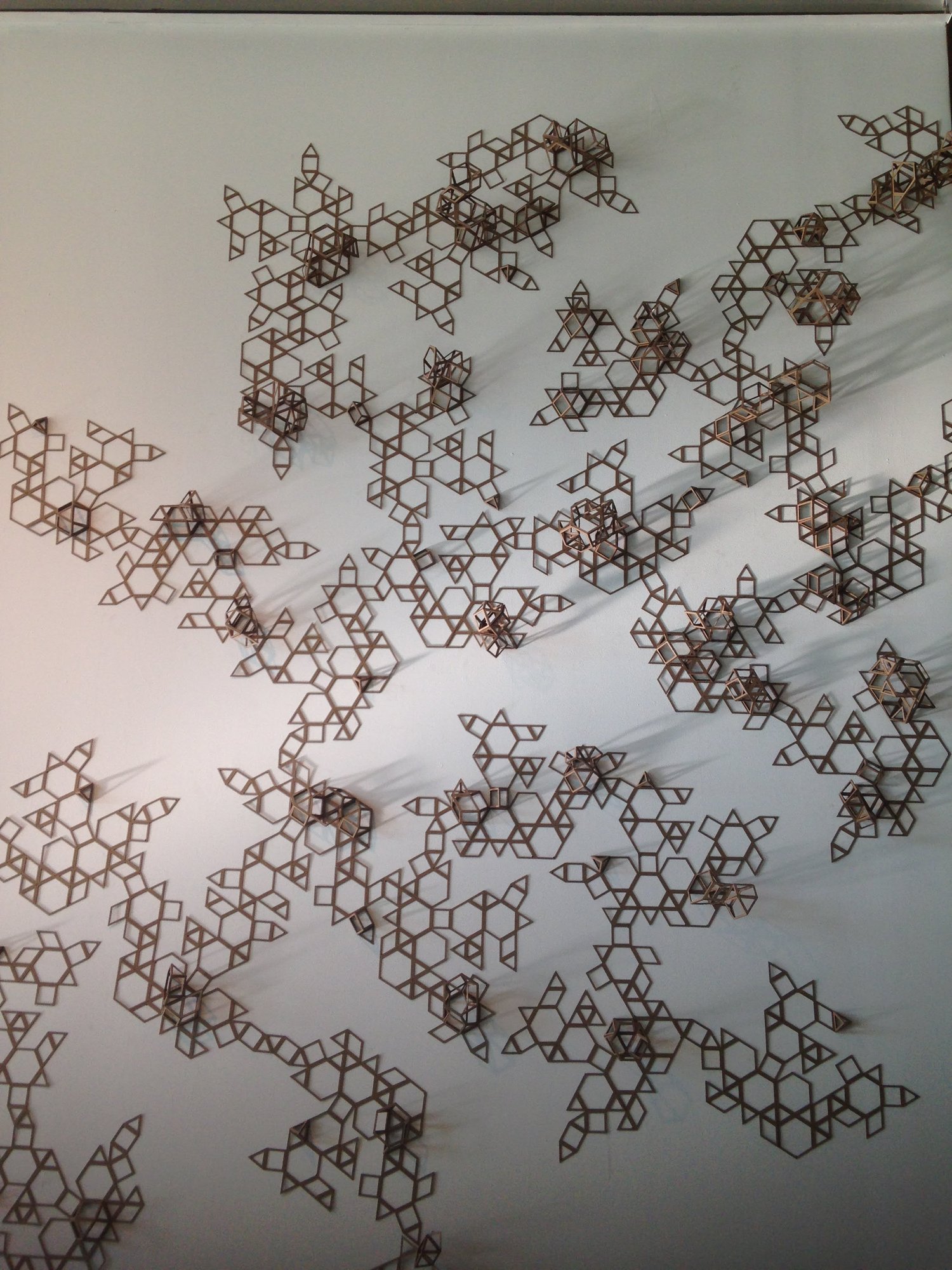 Growth — installation view 3
