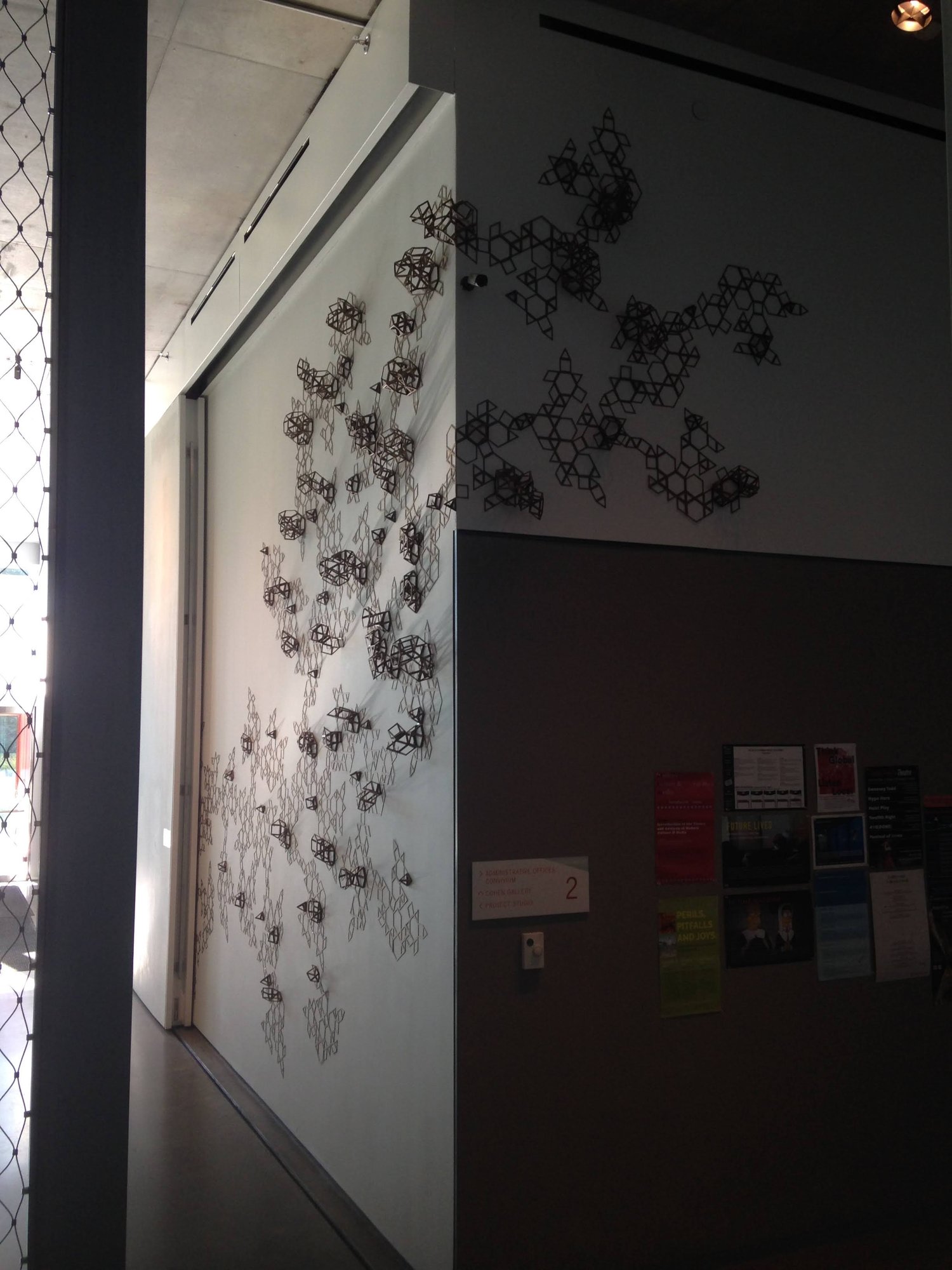 Growth — installation view 4